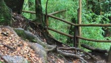 escaleras-naturales-caburga